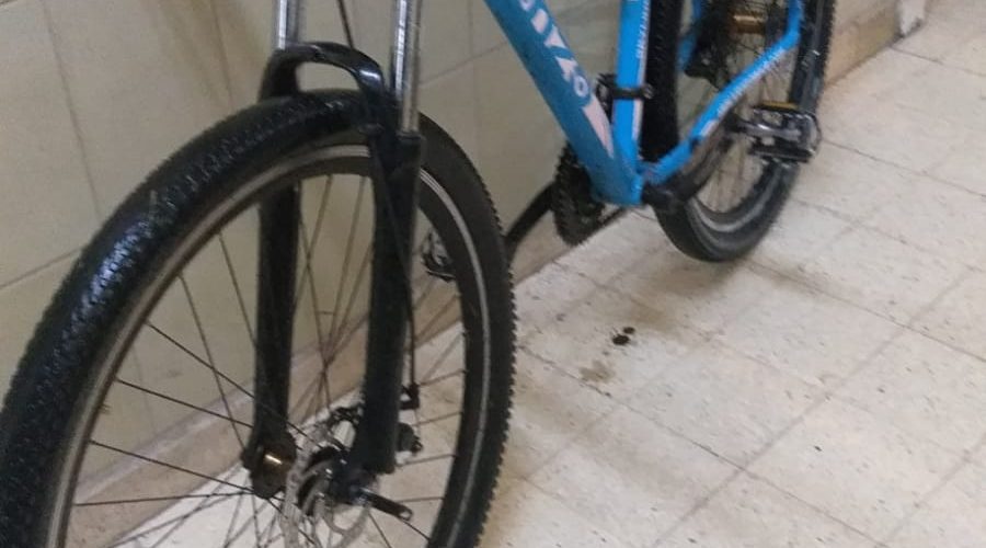 Bicicletas venado on sale tuerto